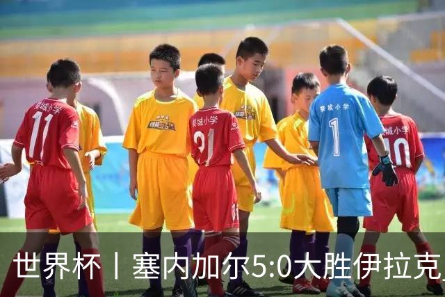 世界杯丨塞内加尔5:0大胜伊拉克 有望凭净胜球优势晋级