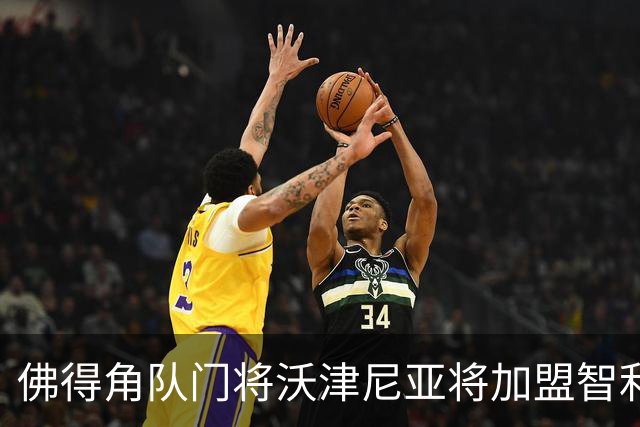 佛得角队门将沃津尼亚将加盟智利科洛科洛俱乐部