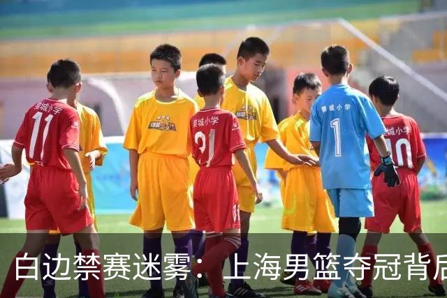 白边禁赛迷雾：上海男篮夺冠背后的兴奋剂风波与时间线争议